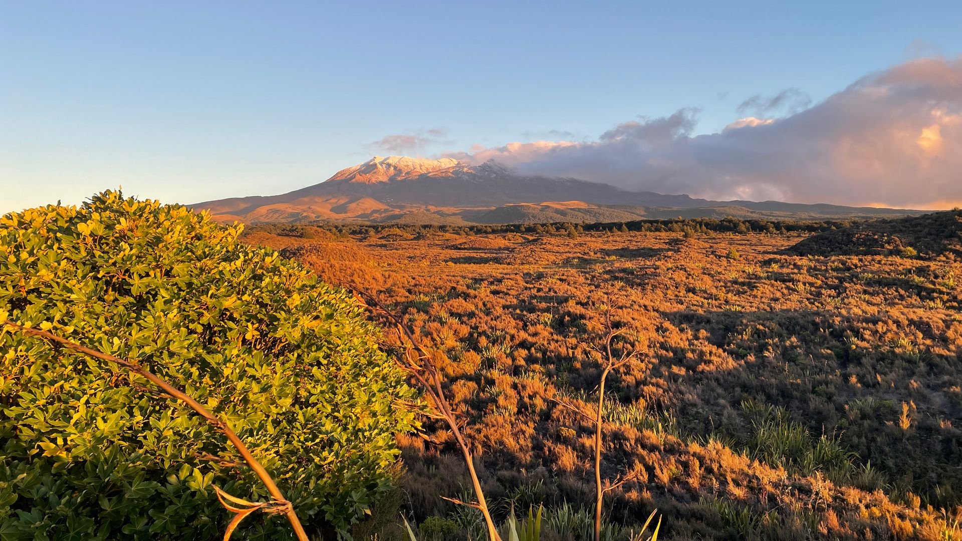 View Of Mt Ruapehu From The Mounds Walking Track B - Visit Ruapehu.JPG
